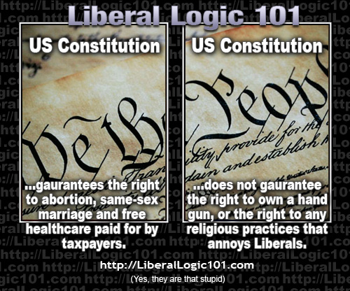 liberal-logic-101-2722.jpg